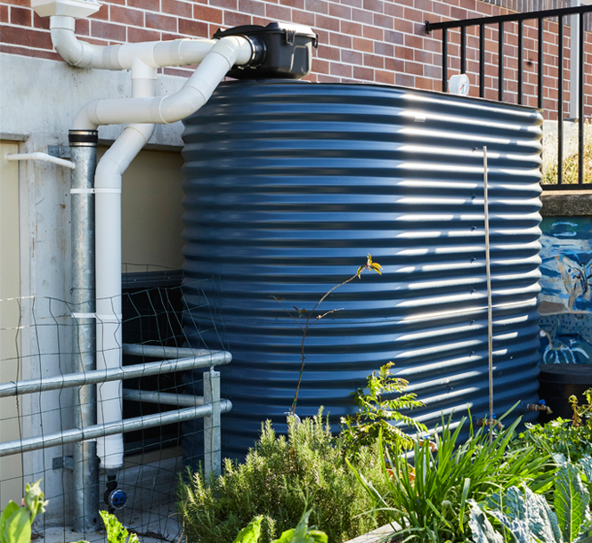 about_main-body_member-rainharvesting-1-1.webp