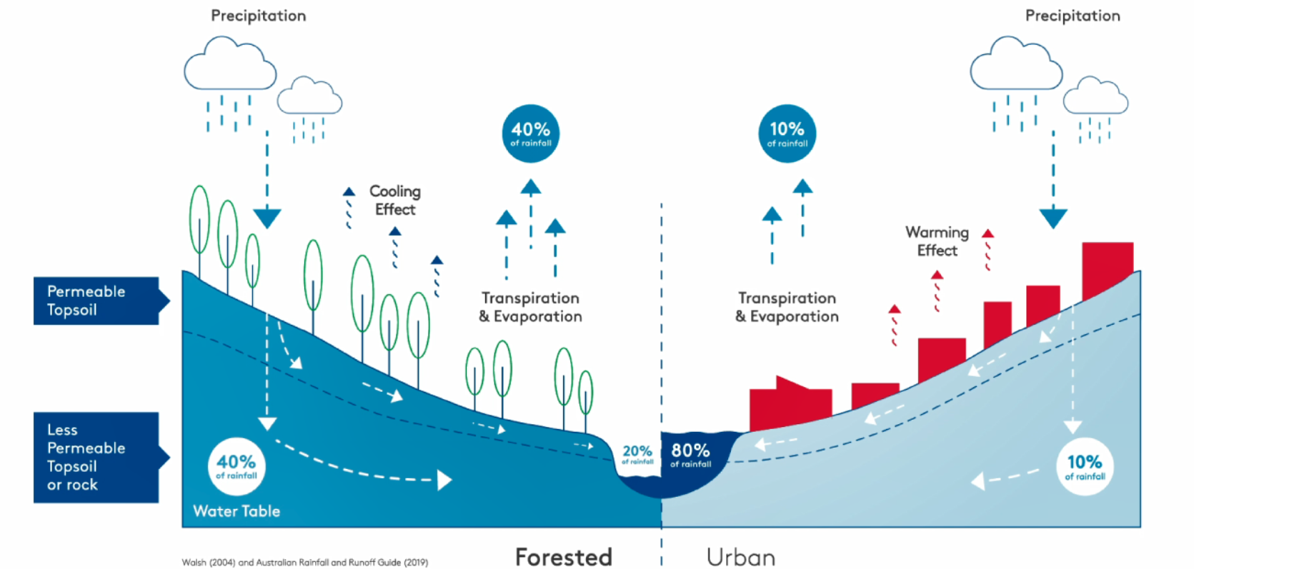 Forested vs urban rainfall runoff comparison